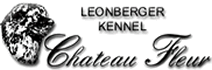 Logotype